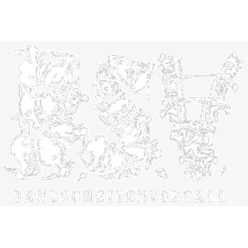 Bandscheibenvorfall