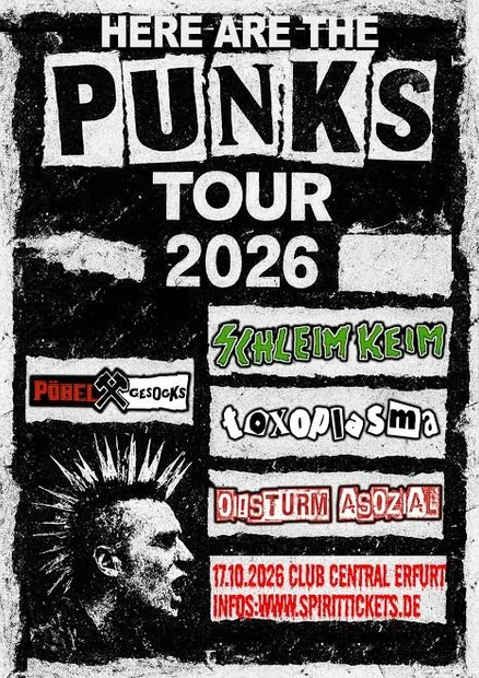 Flyer zu Here are the  Punks Tour 2026