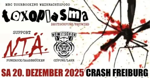 Flyer zu MBC Tourboxing Weihnachtspogo