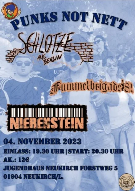 Flyer zu Punks Not Nett